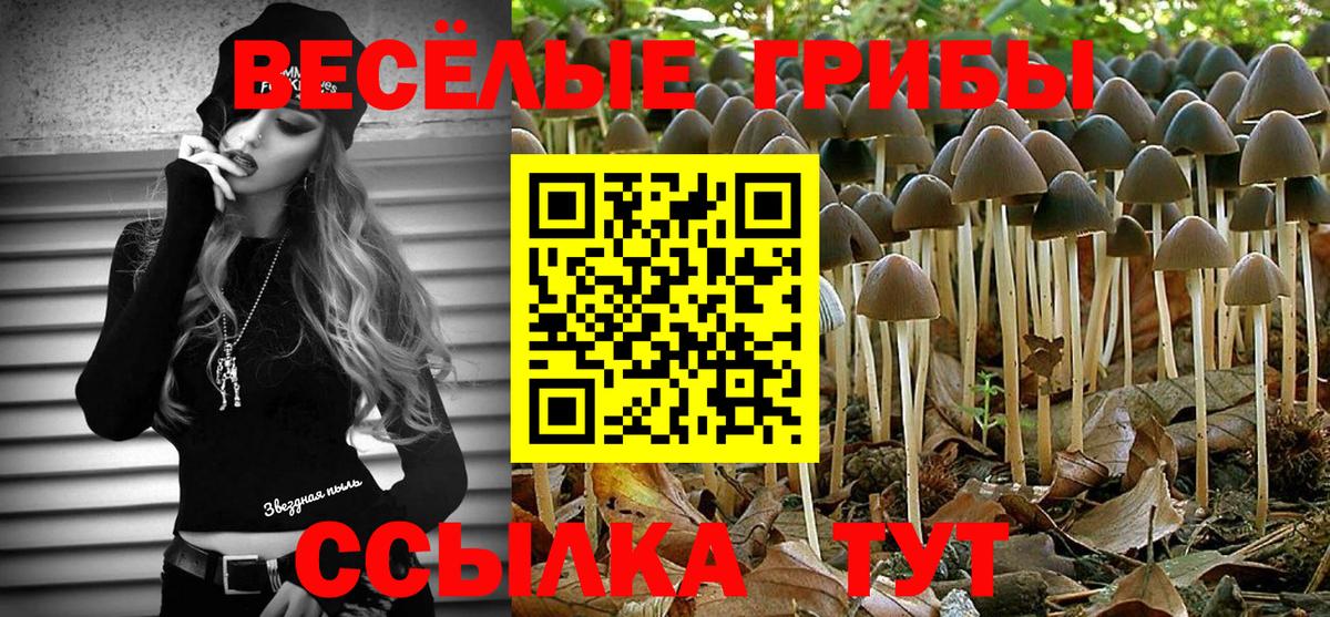 Галлюциногенные грибы ЛСД Чехов