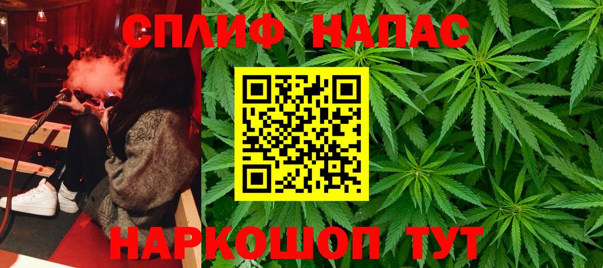 Канабис гибрид Чехов